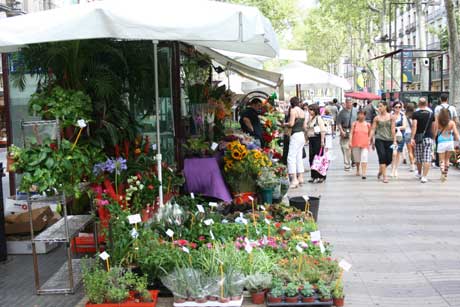 Blomster på La Rambla